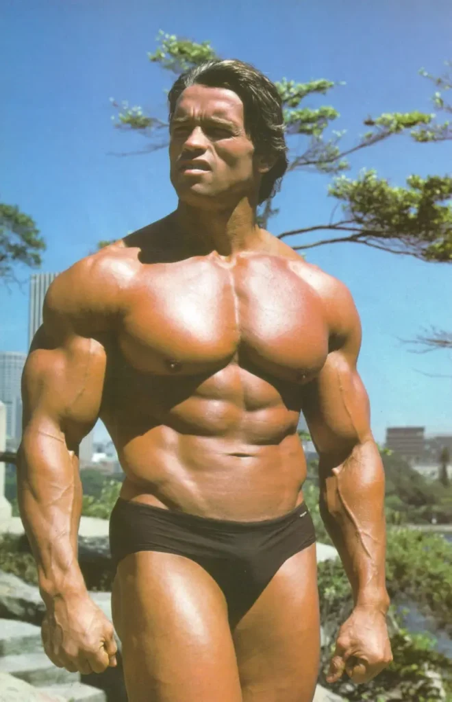 Schwarzenegger_physique An Image Showing Arnold Schwarzenegger's Phisique during his peak years